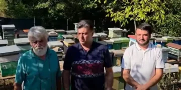(Видео) Наумоски: ВМРО ОКГ направи пустош во секоја земјоделска гранка, пчеларството пред колапс